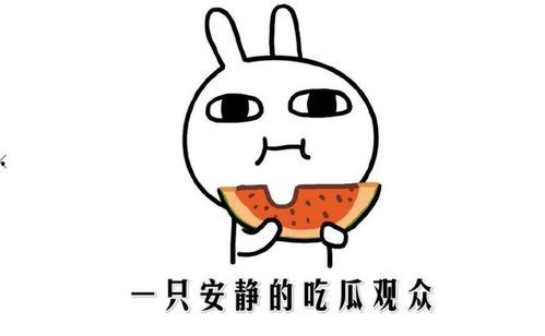 吃瓜表情是什么意思啊内涵句子,网络热词背后的幽默与内涵
